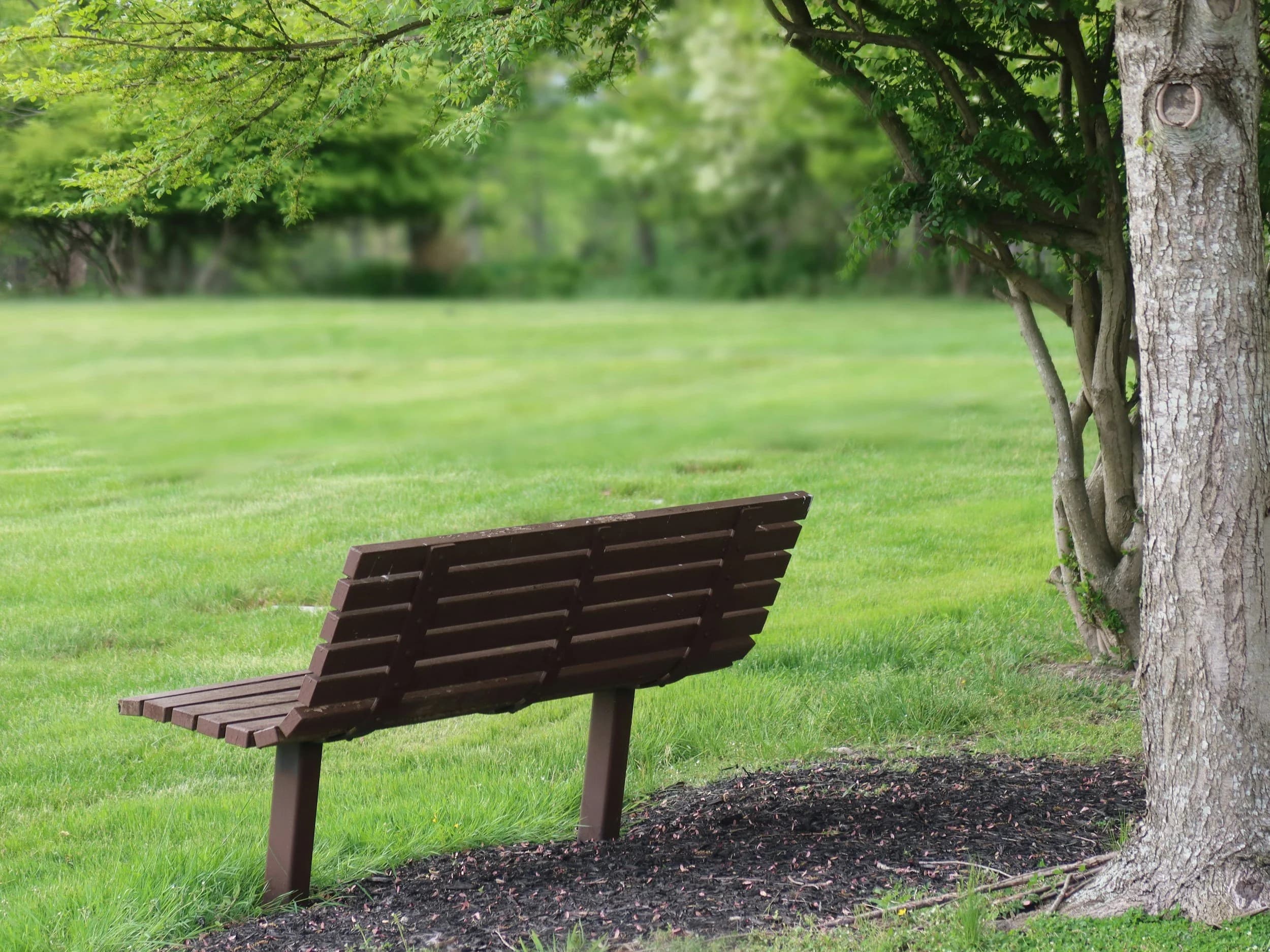 The Other Side of Grief: Mourning What’s Still Here