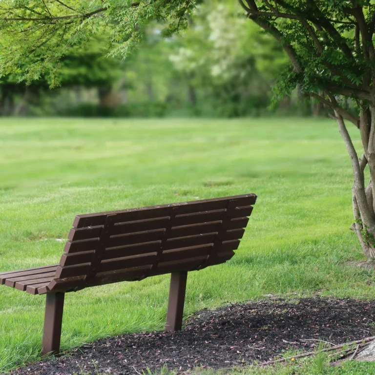 bench facing grass - GTWC blog post image